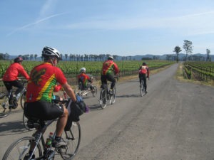 Wednesday Morning Ride, Carneros Loop, 1-2/B/20 @ Dwight Murray Plaza | Napa | California | United States